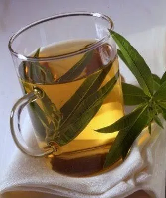 VERVIENE AU LAIT
